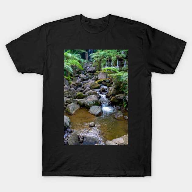 Philippine Highlands - Negros Occidental T-Shirt by likbatonboot